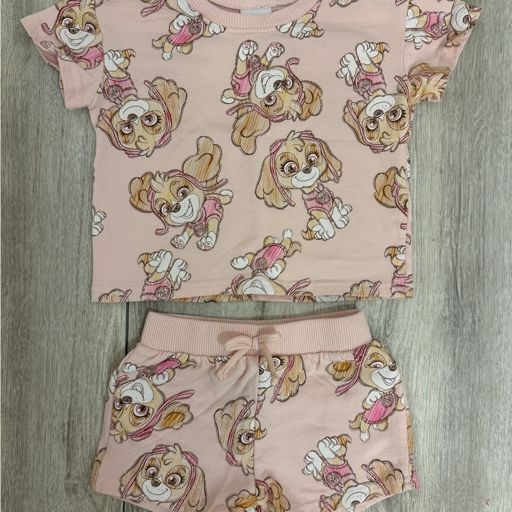 Paw Patrol Pink Skye Matching Set